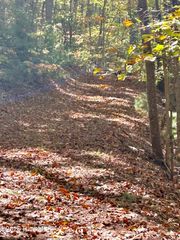 Lot 1,2 Royal Oaks Trail, Brasstown, NC 28902