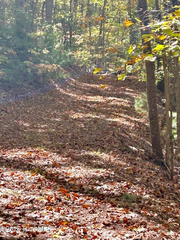 Lot 1,2 Royal Oaks Trail, Brasstown, NC 28902