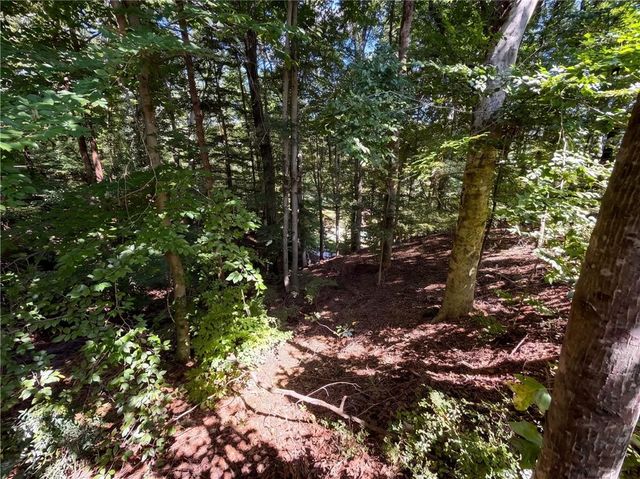 2090 River Heights Walk SE, Marietta, GA 30067