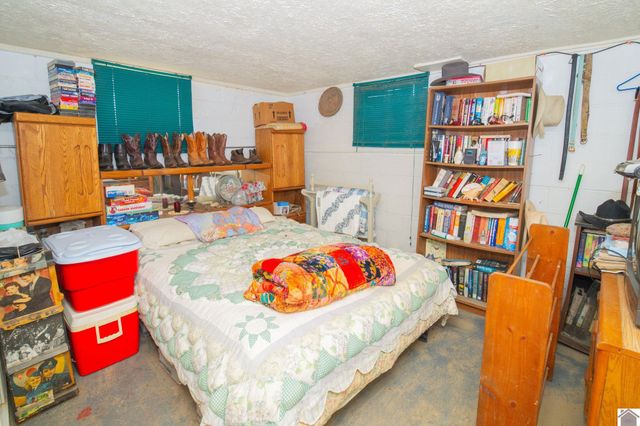 1119 Rowlett Trail, Murray, KY 42071