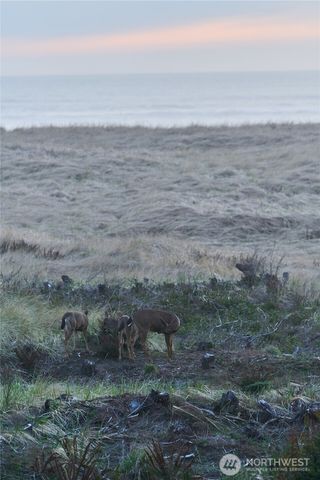 27208 J Lane, Ocean Park, WA 98640