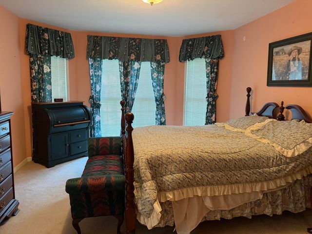 30 Black River Rd, Gilbertsville, KY 42044