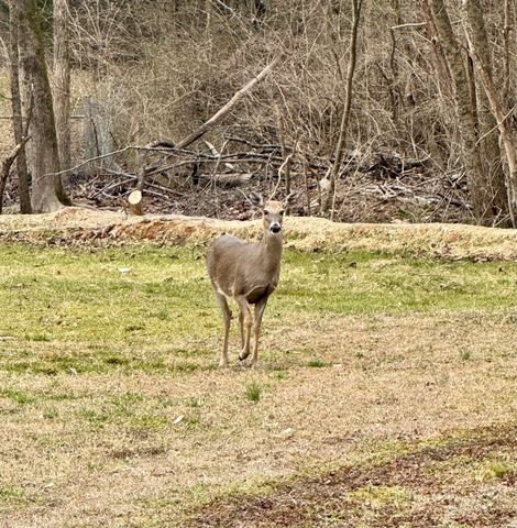 959 Lower Mill Road, Hixson, TN 37343