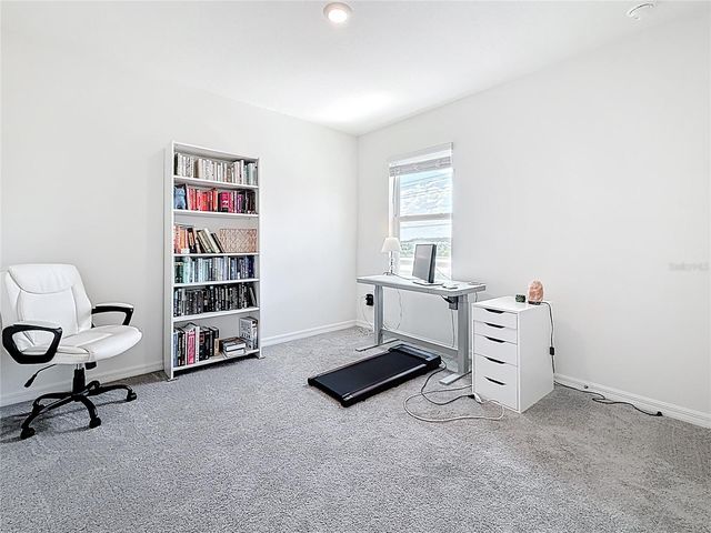 33568 BARBERRY LEAF WAY, Wesley Chapel, FL 33543