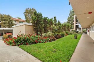 3366 Punta Alta 1C, Laguna Woods, CA 92637