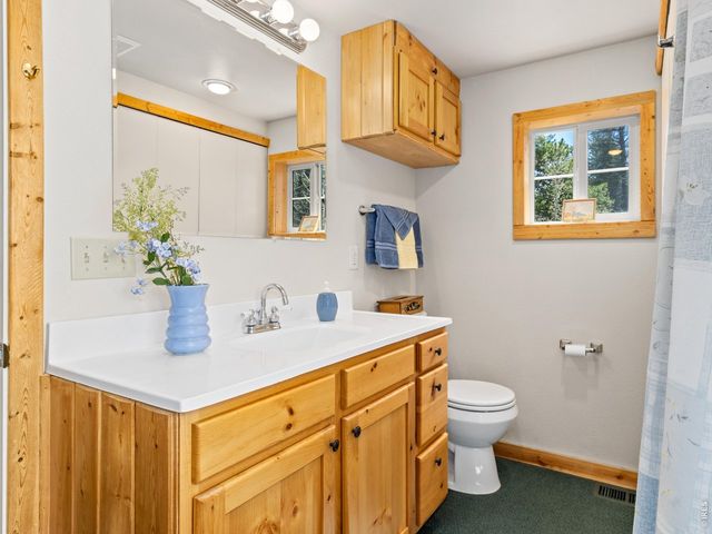 131 County Road 90, Allenspark, CO 80510