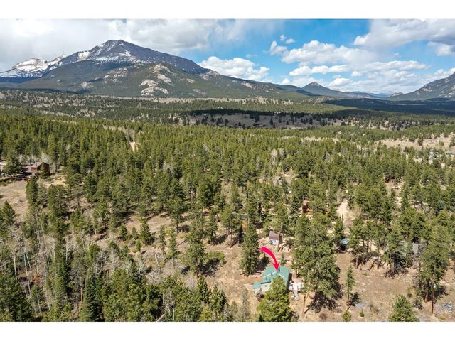 131 County Road 90, Allenspark, CO 80510