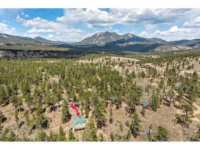 131 County Road 90, Allenspark, CO 80510
