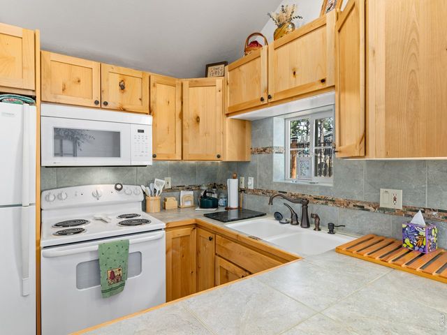131 County Road 90, Allenspark, CO 80510