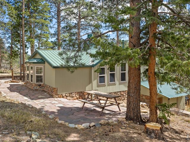 131 County Road 90, Allenspark, CO 80510