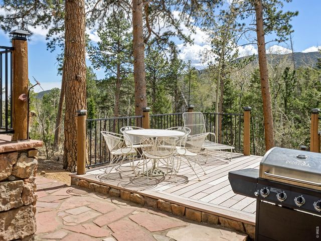 131 County Road 90, Allenspark, CO 80510