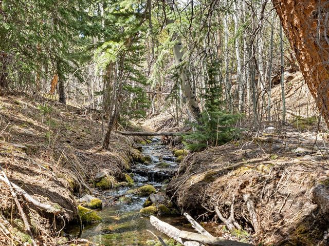 131 County Road 90, Allenspark, CO 80510