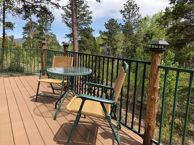 131 County Road 90, Allenspark, CO 80510