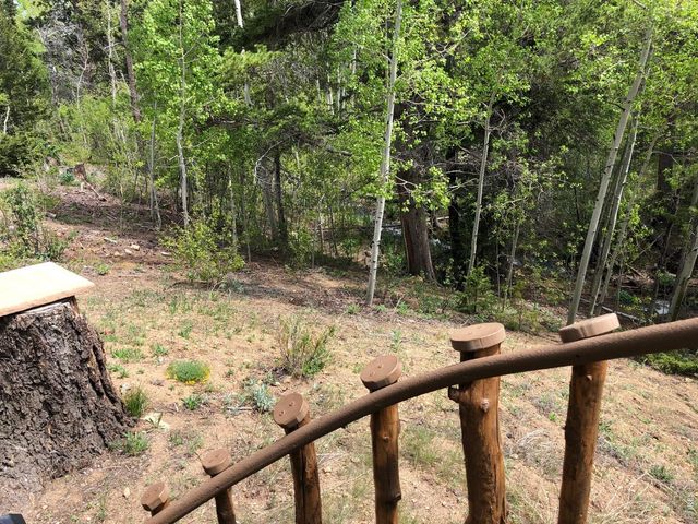 131 County Road 90, Allenspark, CO 80510
