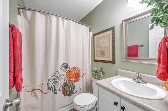 110 Sandy Hook Court, Summerville, SC 29486