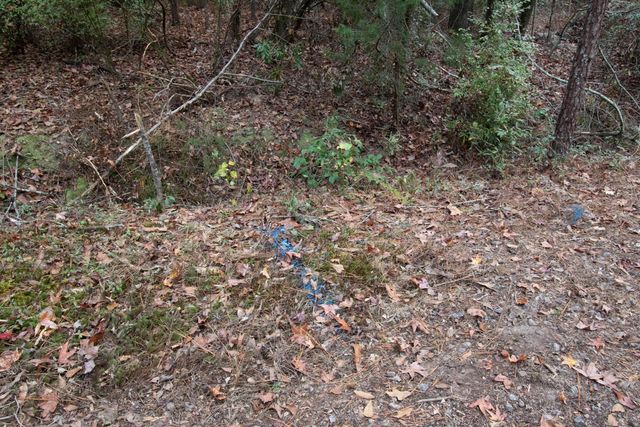 000 JOHANNES Drive, Thomson, GA 30824
