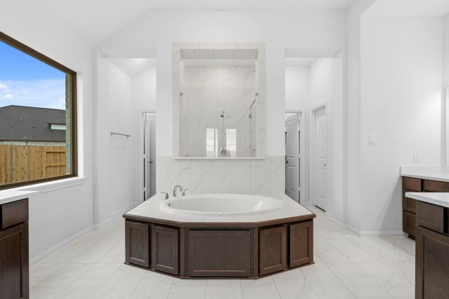 18819 Lima Orange Trail, Manvel, TX 77578