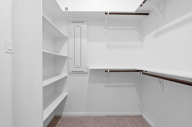 18819 Lima Orange Trail, Manvel, TX 77578