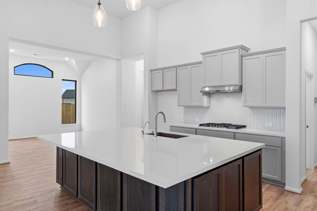 18819 Lima Orange Trail, Manvel, TX 77578