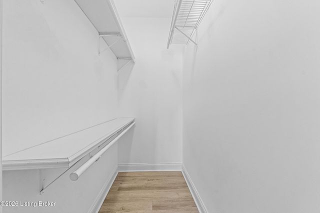 3231 Elane Dr, Louisville, KY 40216