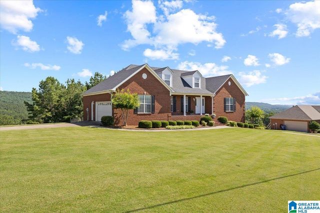 104 GREYSTONE DRIVE, Oneonta, AL 35121