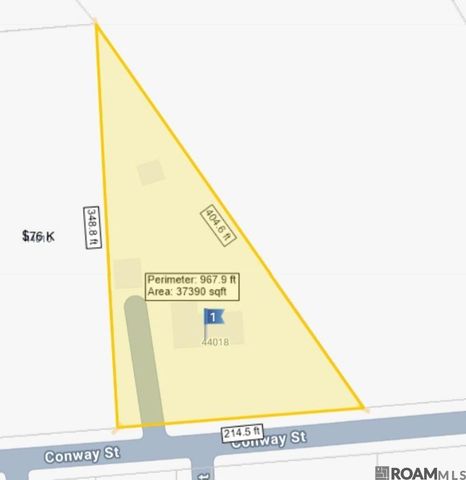 44018 Conway St, Sorrento, LA 70778