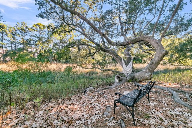 4066 Blackmoor Street, Mount Pleasant, SC 29466