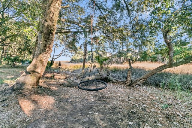 4066 Blackmoor Street, Mount Pleasant, SC 29466