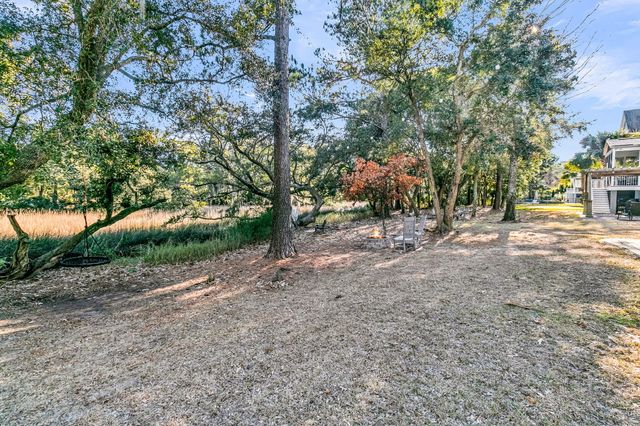 4066 Blackmoor Street, Mount Pleasant, SC 29466