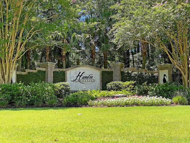 4066 Blackmoor Street, Mount Pleasant, SC 29466