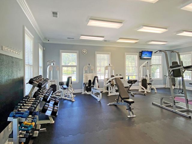 4066 Blackmoor Street, Mount Pleasant, SC 29466