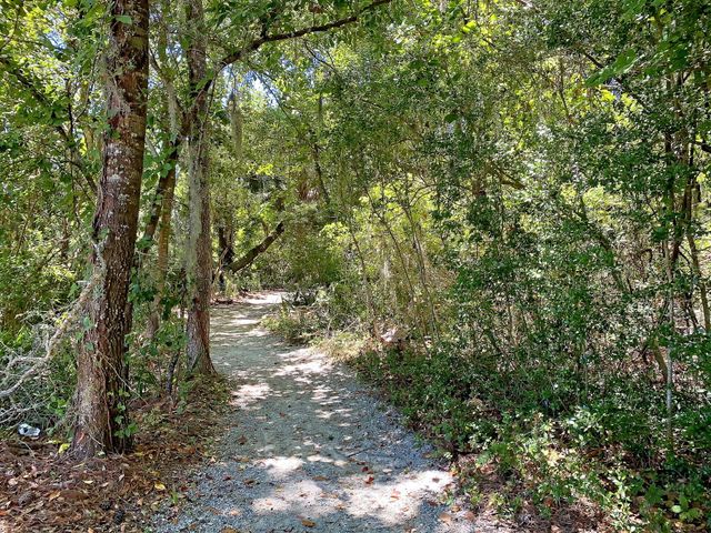 4066 Blackmoor Street, Mount Pleasant, SC 29466