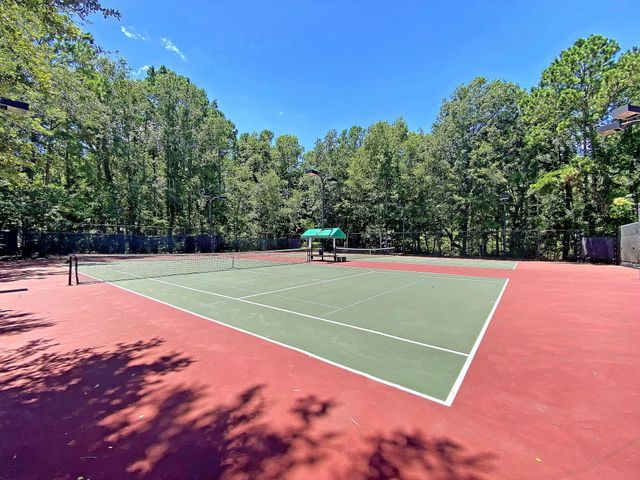 4066 Blackmoor Street, Mount Pleasant, SC 29466