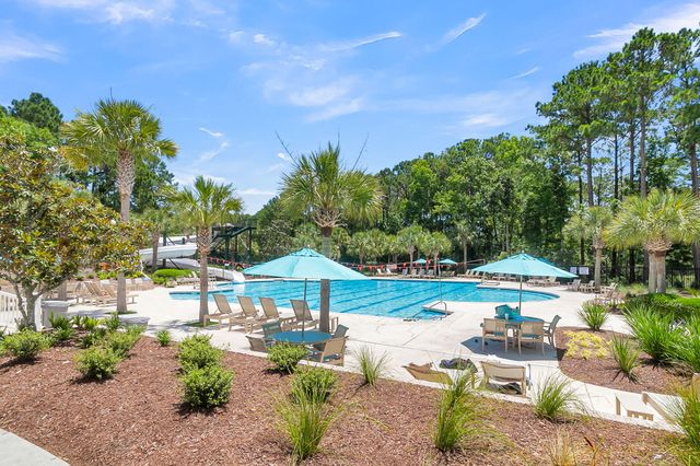 4066 Blackmoor Street, Mount Pleasant, SC 29466