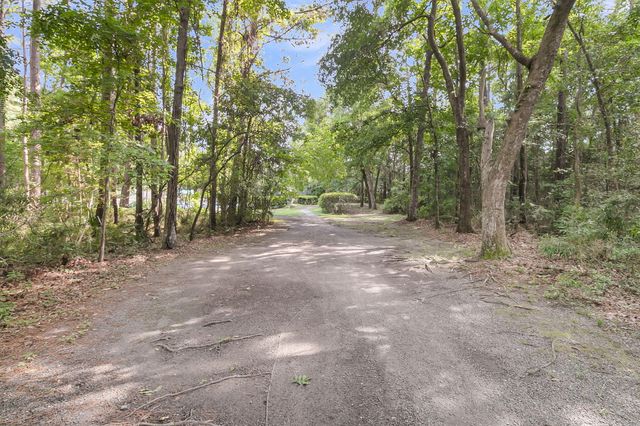 4066 Blackmoor Street, Mount Pleasant, SC 29466