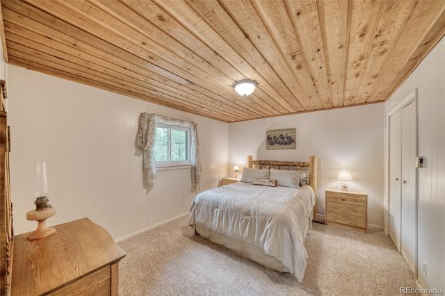 5544 County Road 5 Road, Divide, CO 80814