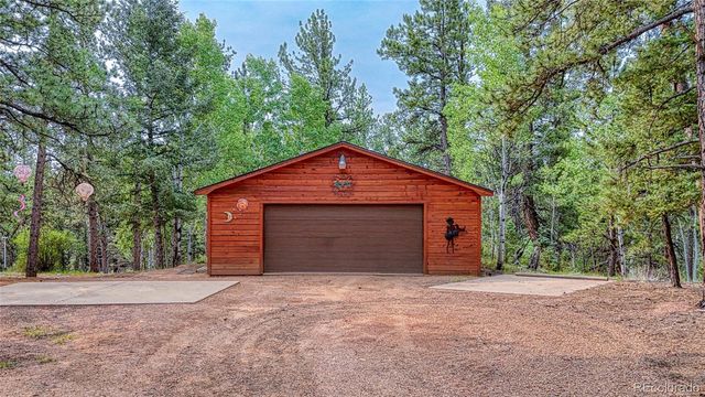 5544 County Road 5 Road, Divide, CO 80814