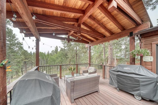 5544 County Road 5 Road, Divide, CO 80814