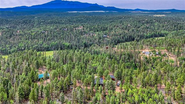 5544 County Road 5 Road, Divide, CO 80814