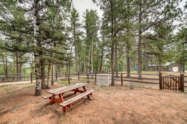 5544 County Road 5 Road, Divide, CO 80814
