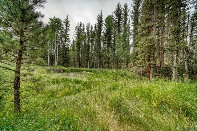 5544 County Road 5 Road, Divide, CO 80814