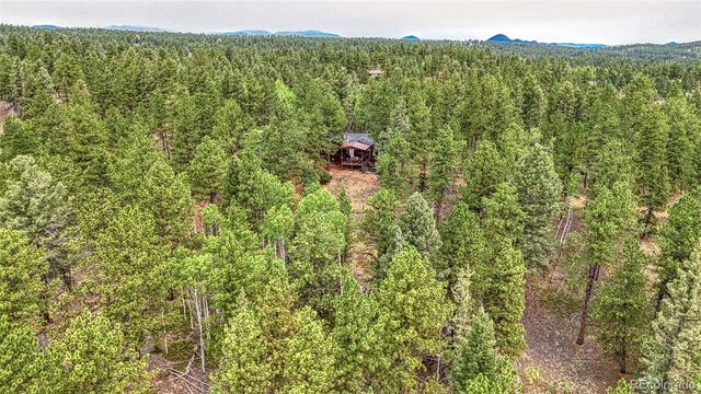 5544 County Road 5 Road, Divide, CO 80814