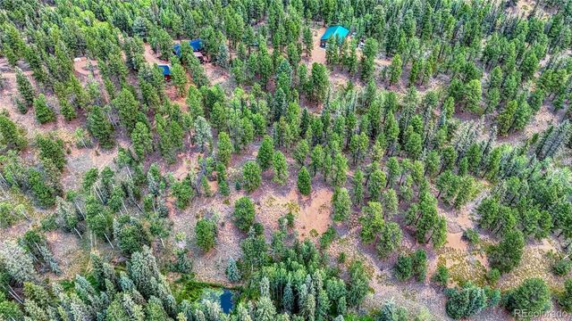 5544 County Road 5 Road, Divide, CO 80814