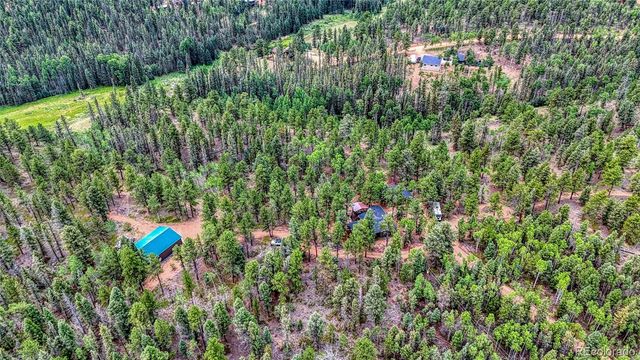 5544 County Road 5 Road, Divide, CO 80814
