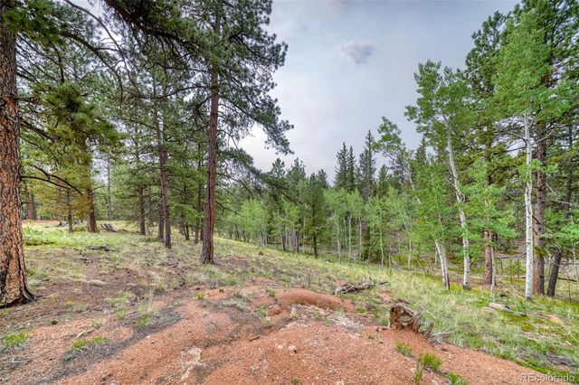 5544 County Road 5 Road, Divide, CO 80814