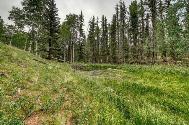 5544 County Road 5 Road, Divide, CO 80814