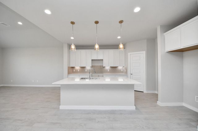 14703 Diamond Dove Lane, Houston, TX 77049