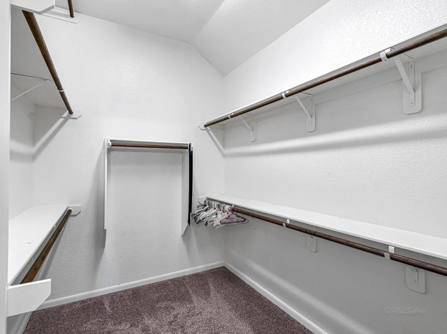 25006 Blue Mountain Park Lane, Katy, TX 77493