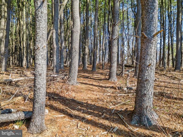 LOT 2D WOODS MILL, Stephenson, VA 22656