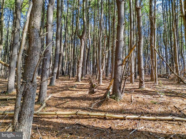 LOT 2D WOODS MILL, Stephenson, VA 22656